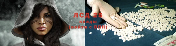 spice Аркадак