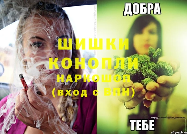 spice Аркадак