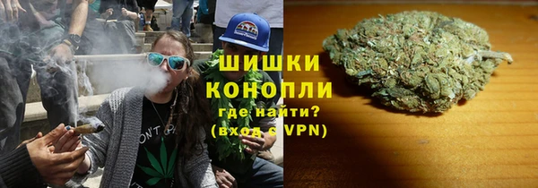spice Аркадак