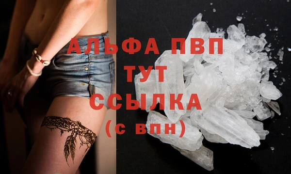 spice Аркадак